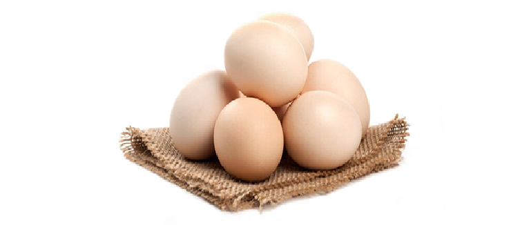 eggs