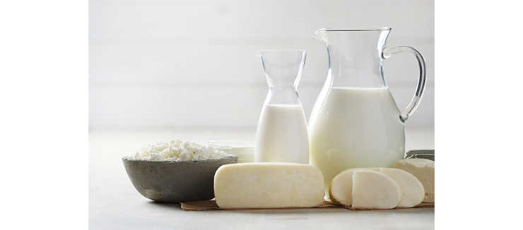 Dairy & Poultry Products